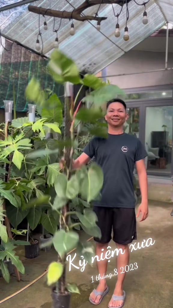 @Huy Kiểng L&aacute;