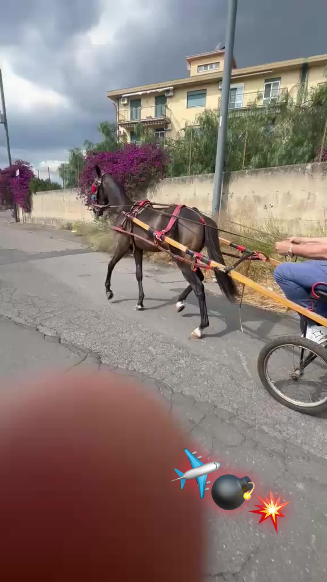 @Agatino Diolosà