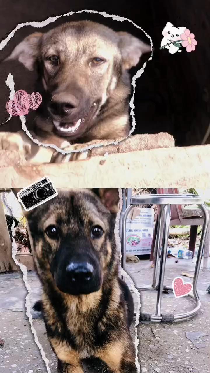 @^~^