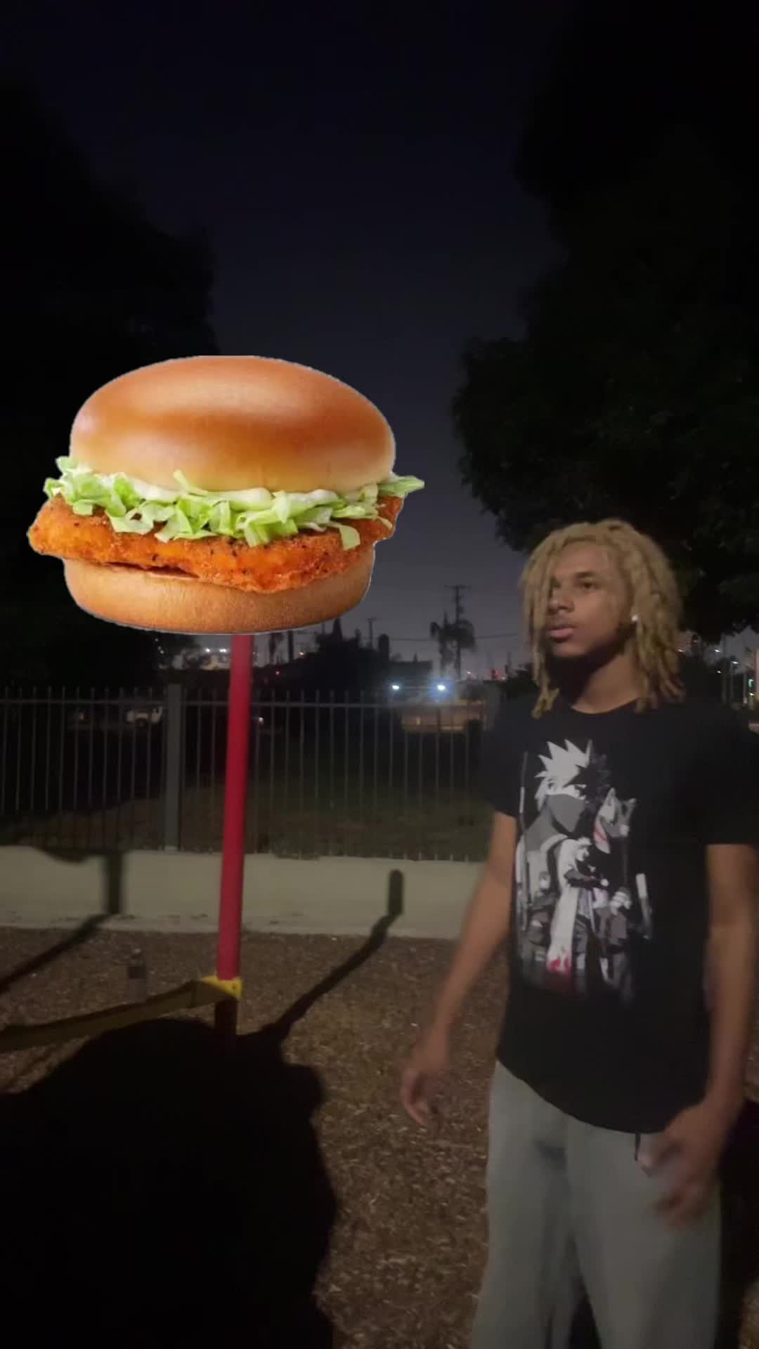 @ohbabyilovemcchickens