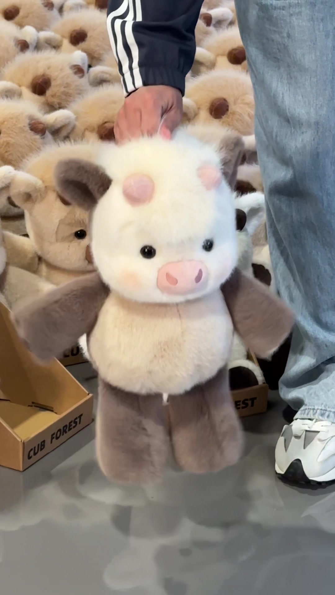@Cubforest