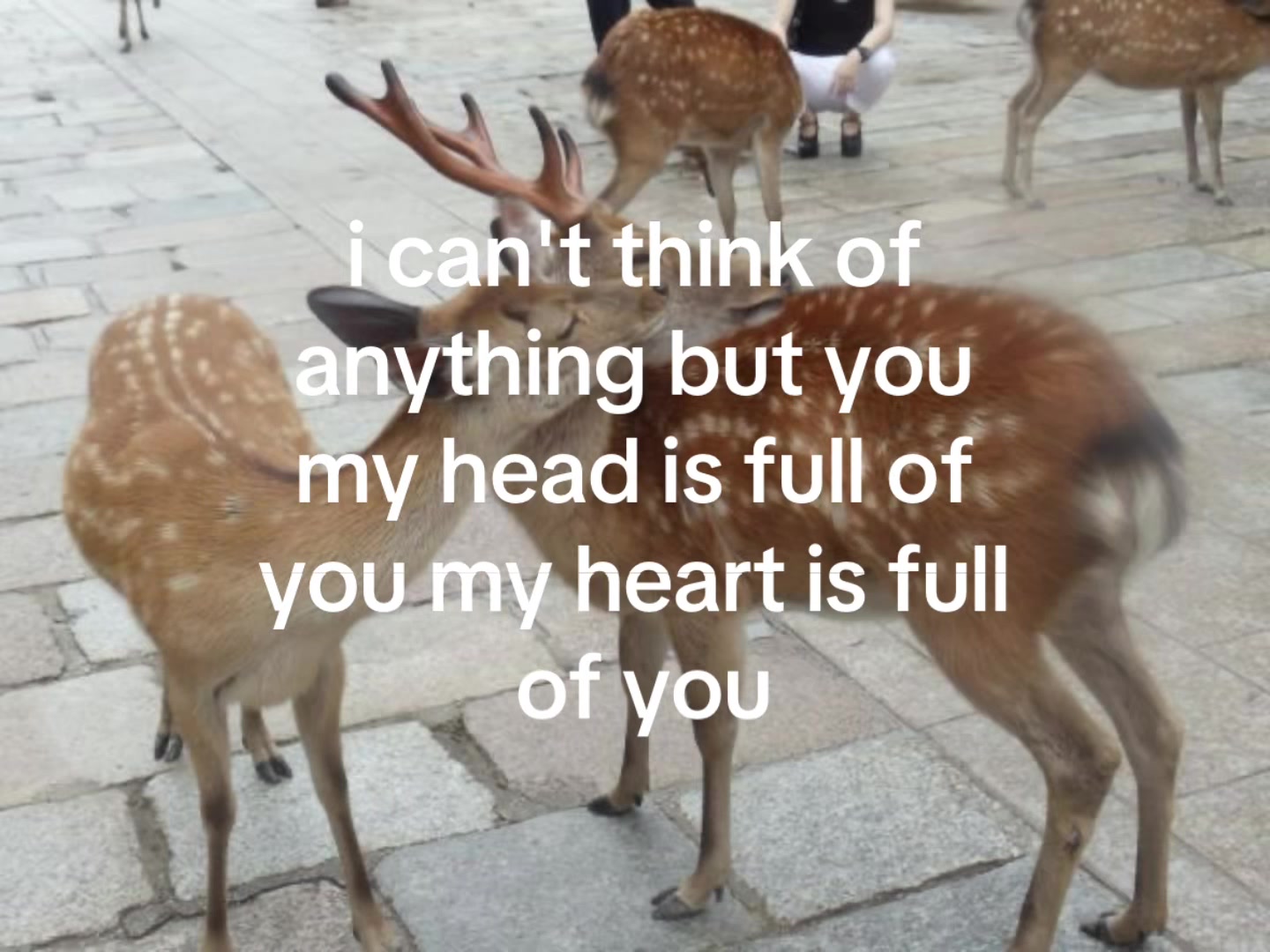 @rwnd