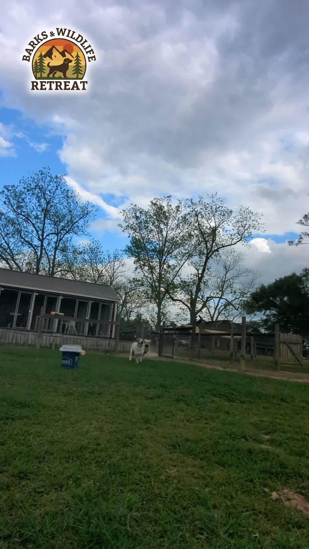 @Barks & Wildlife Longville LA