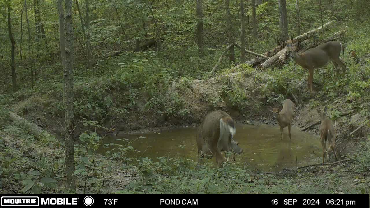 @217bowhunter