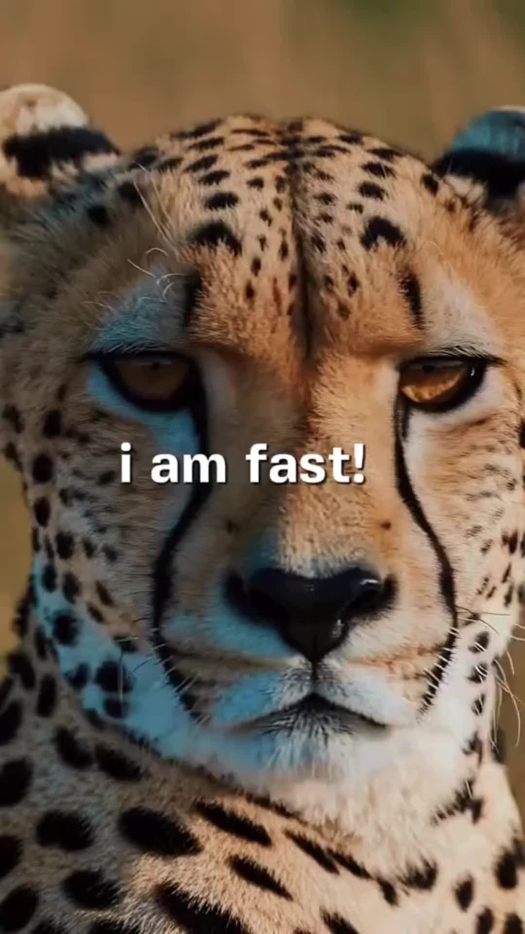 @꧁ Ɱ₳☈I✪Ň ꧂