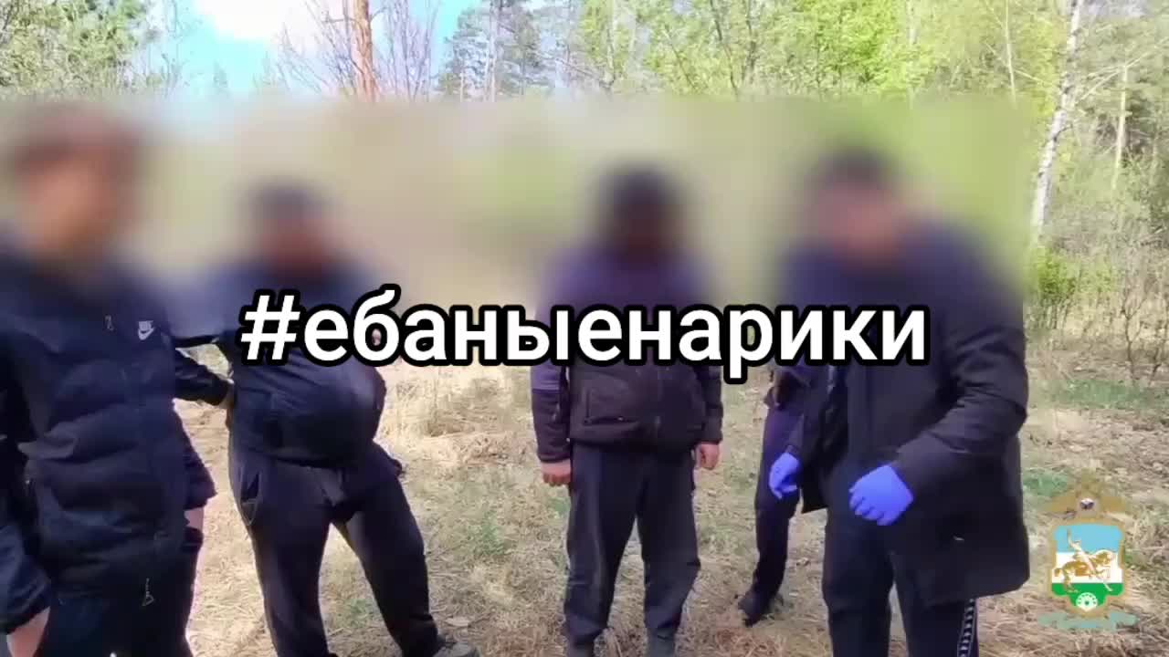 @menchik_02