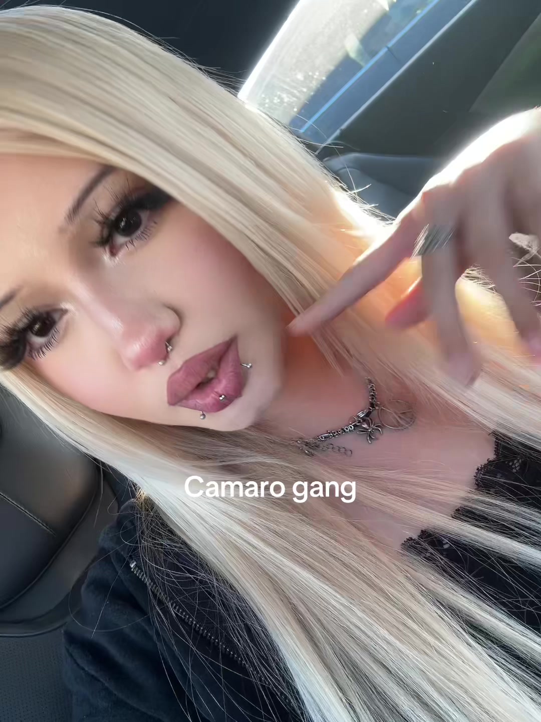 @mimi