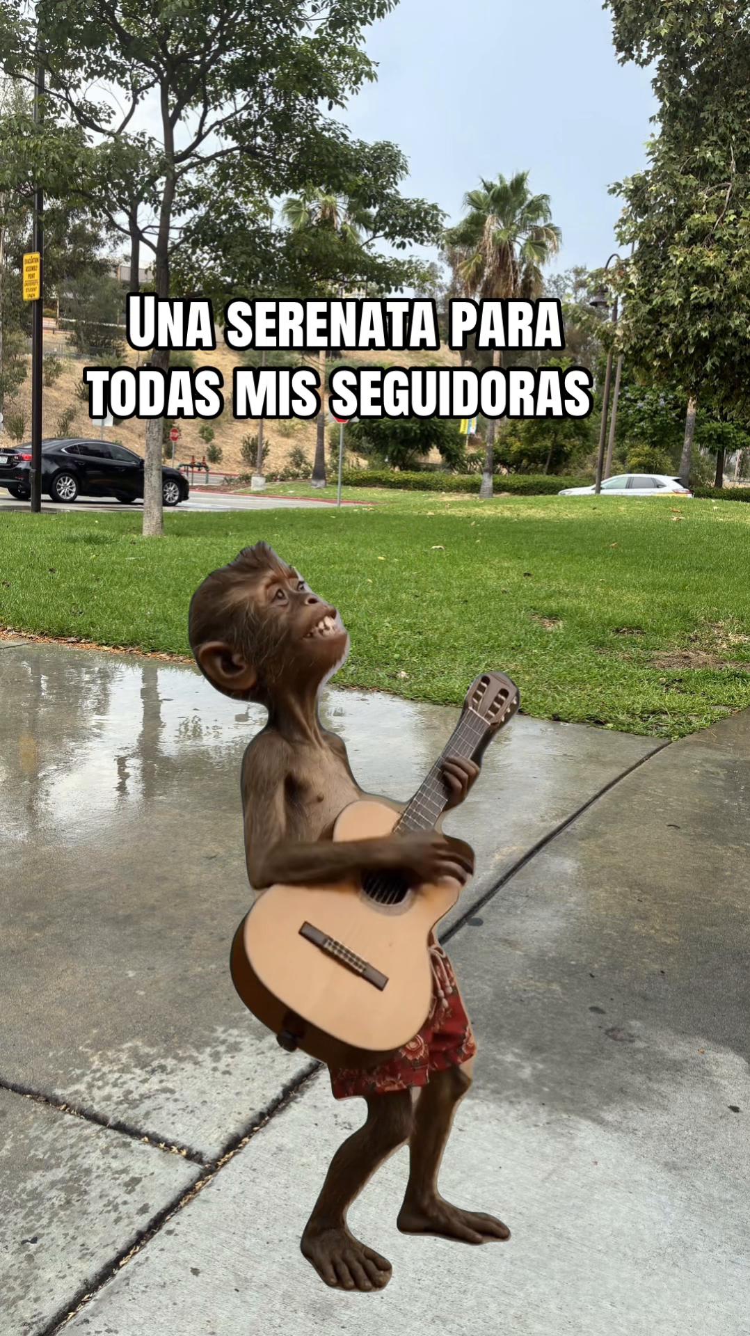 @vennysanchez2