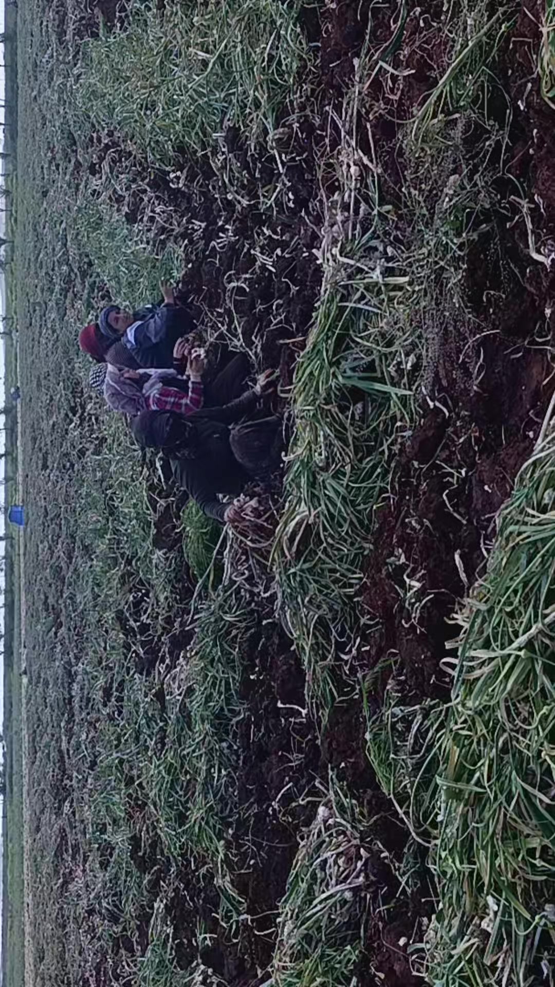 @BERİVAN-CAVUŞ