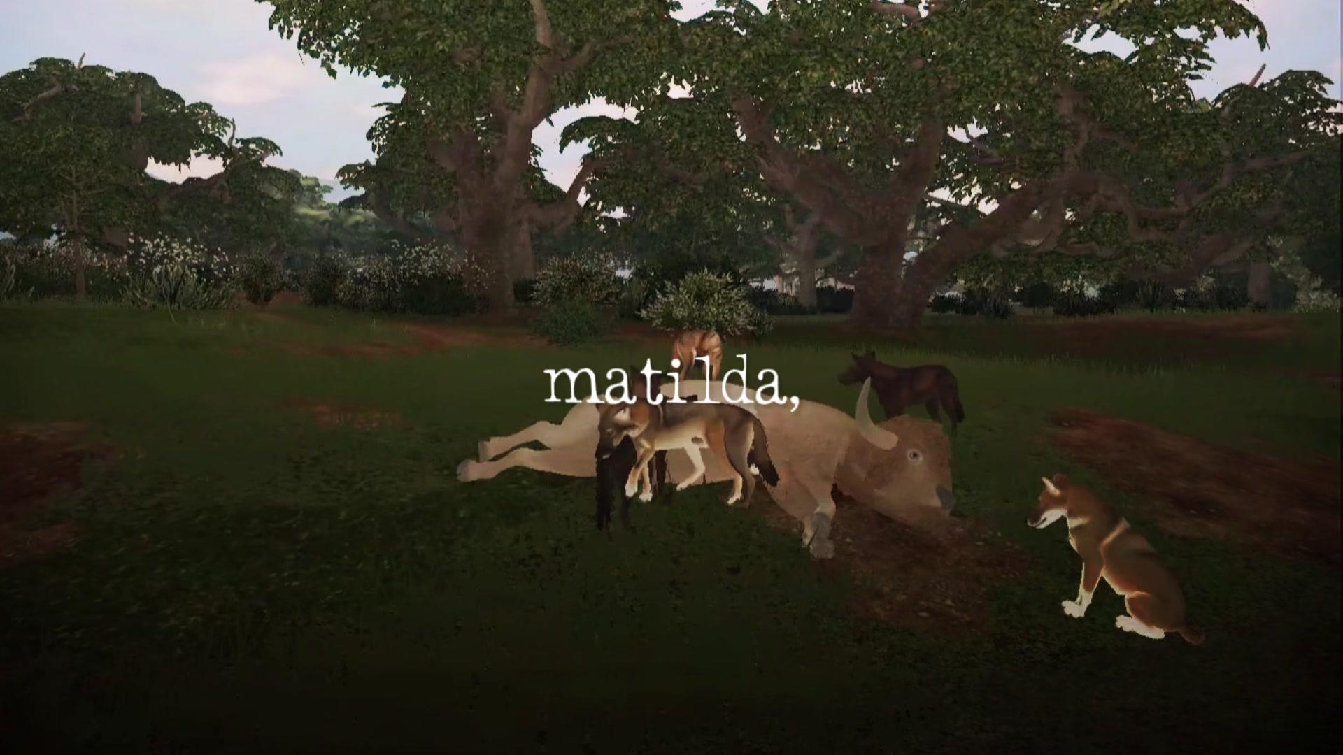 @Xaria Pack