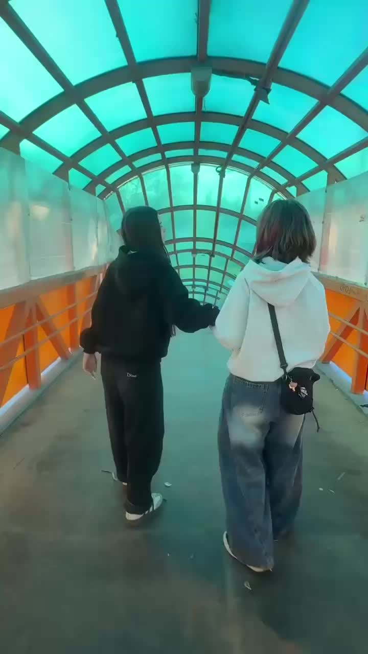 @вета лил