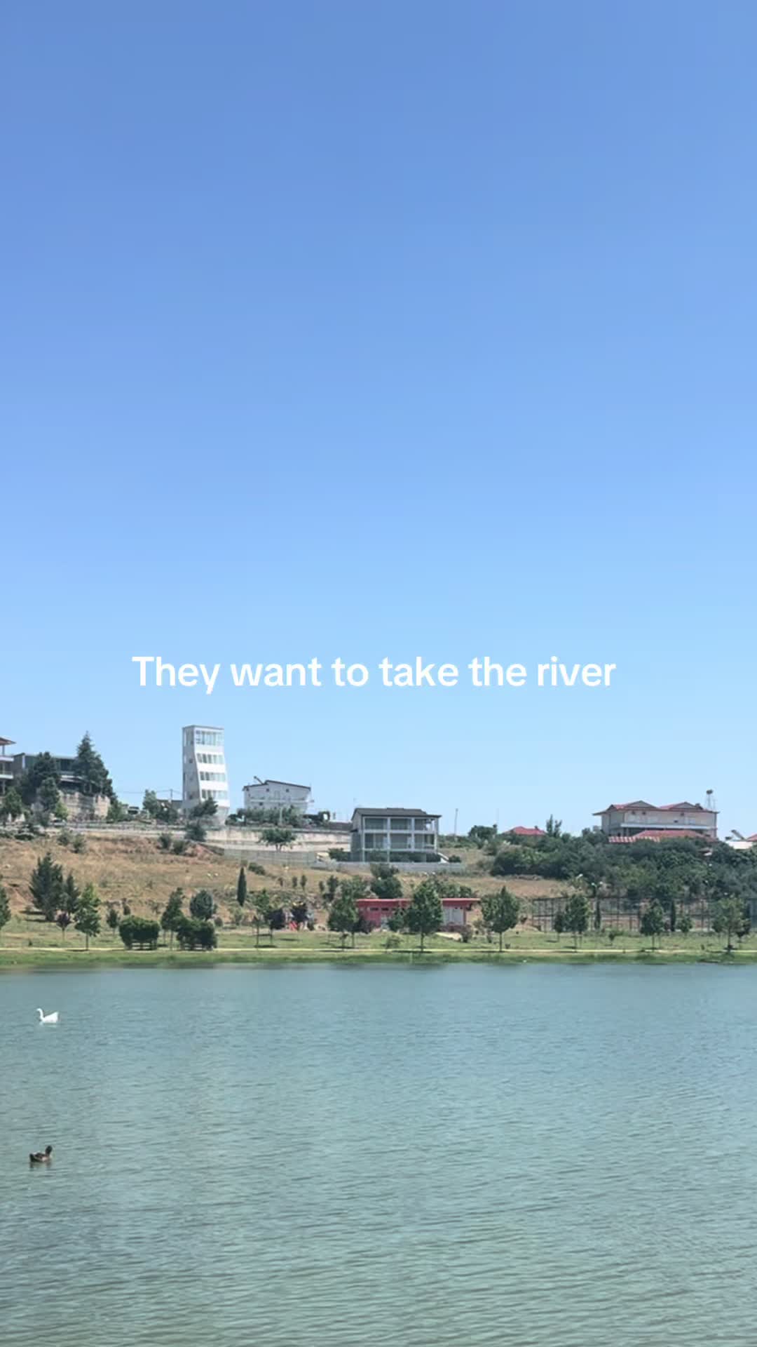@Alexus🇵🇸
