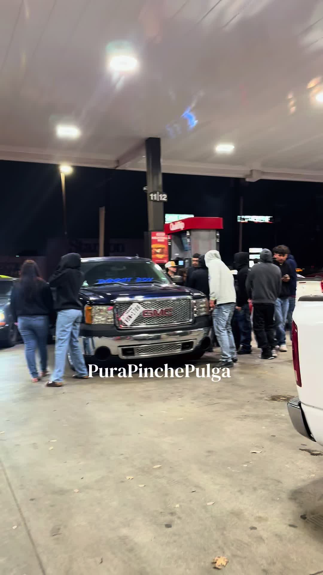 @PuraPinchePulga2
