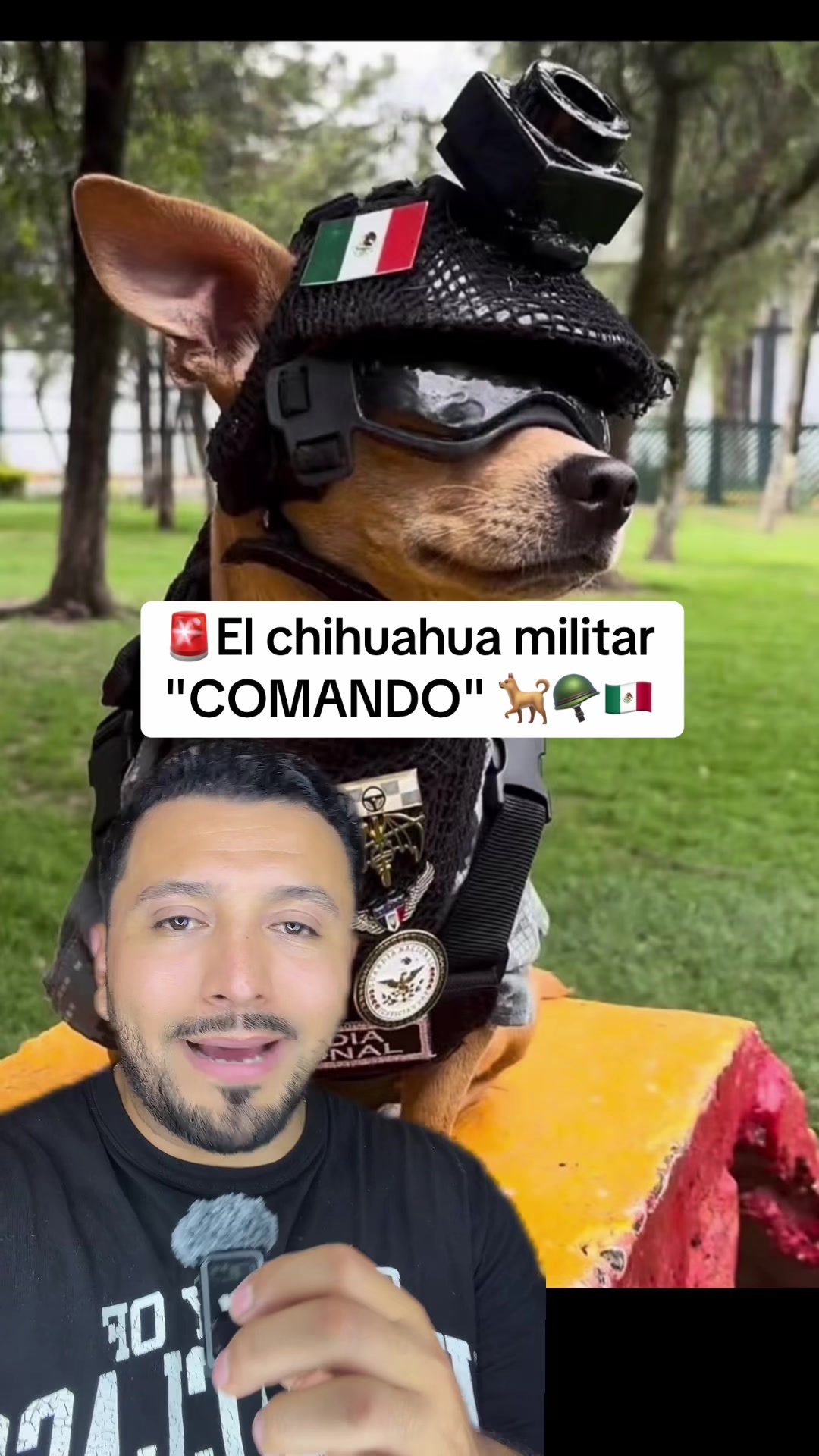 @Alfredo MX