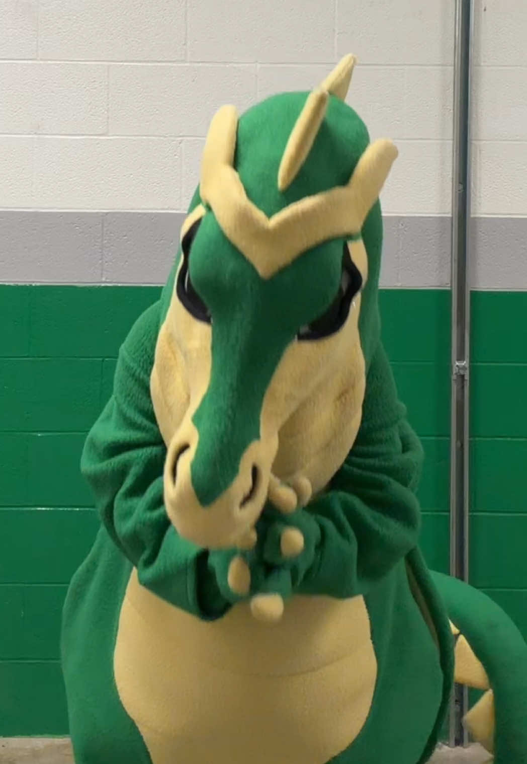 @SGHS mascot