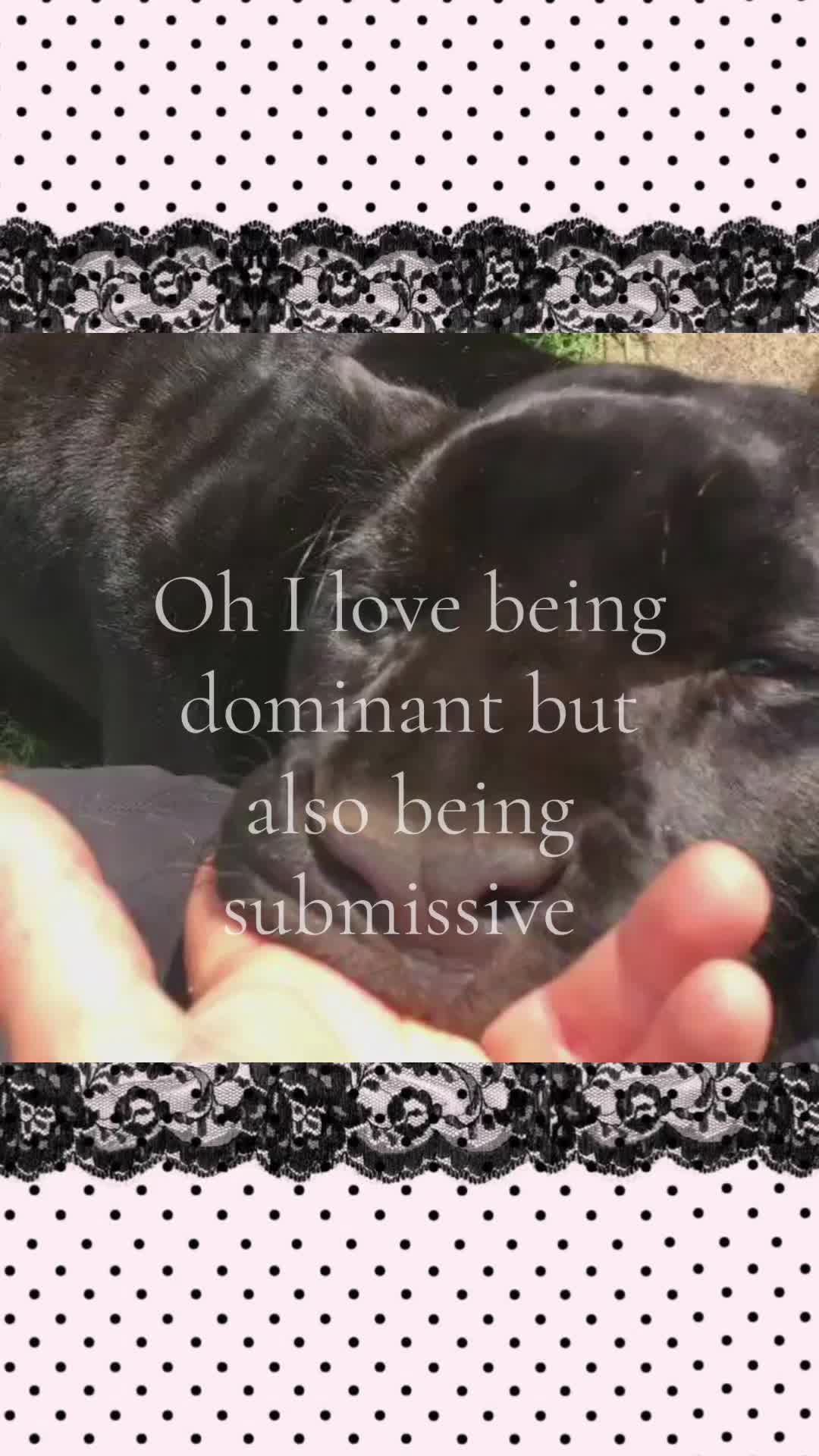 @mimi🐾