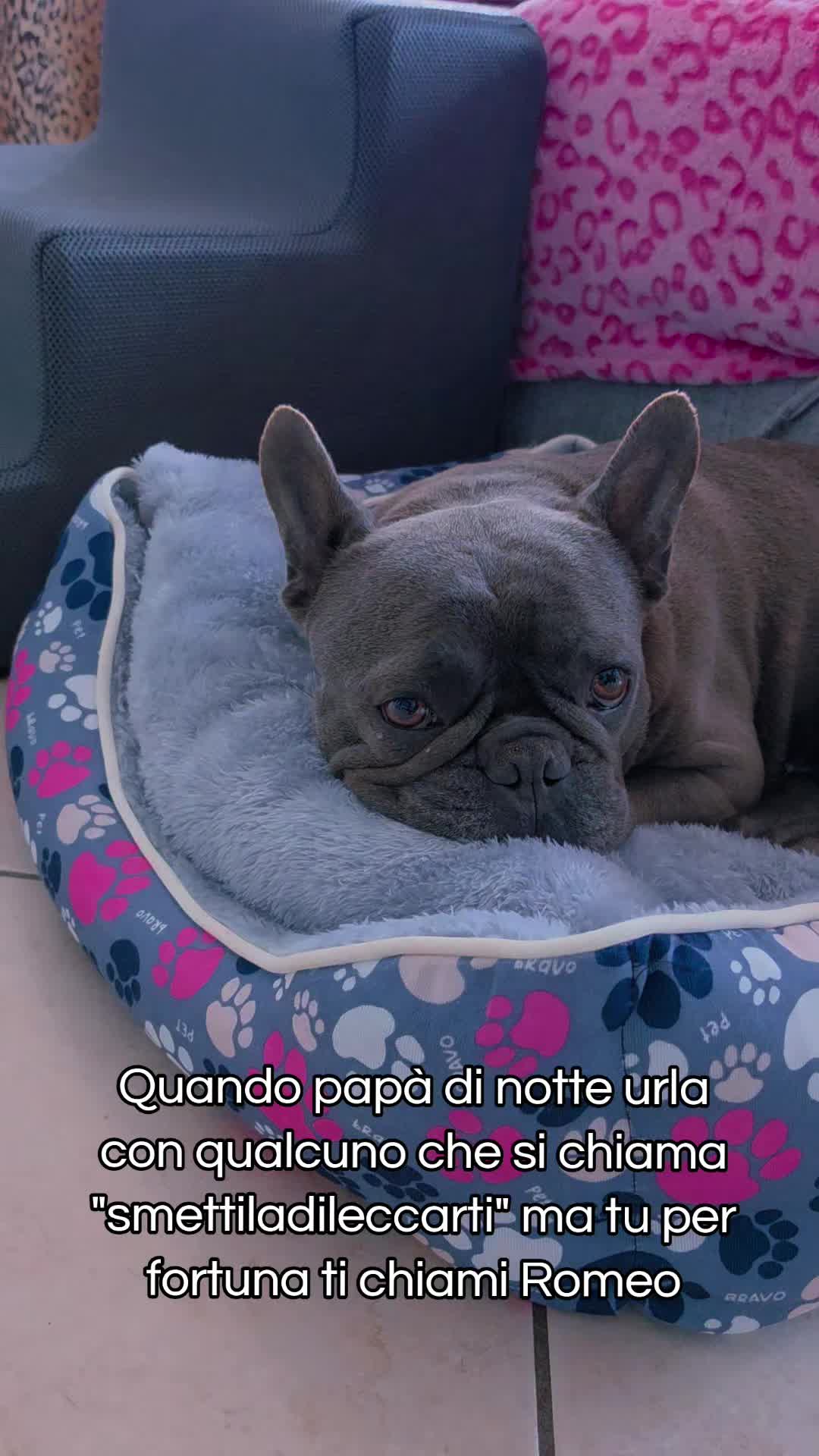 @Giulia Trappa