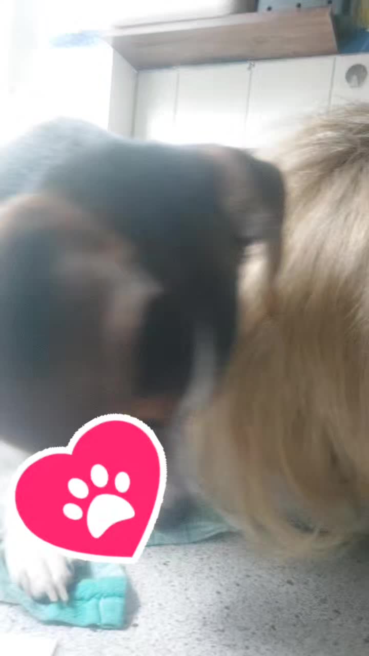 @möhrchen🥕