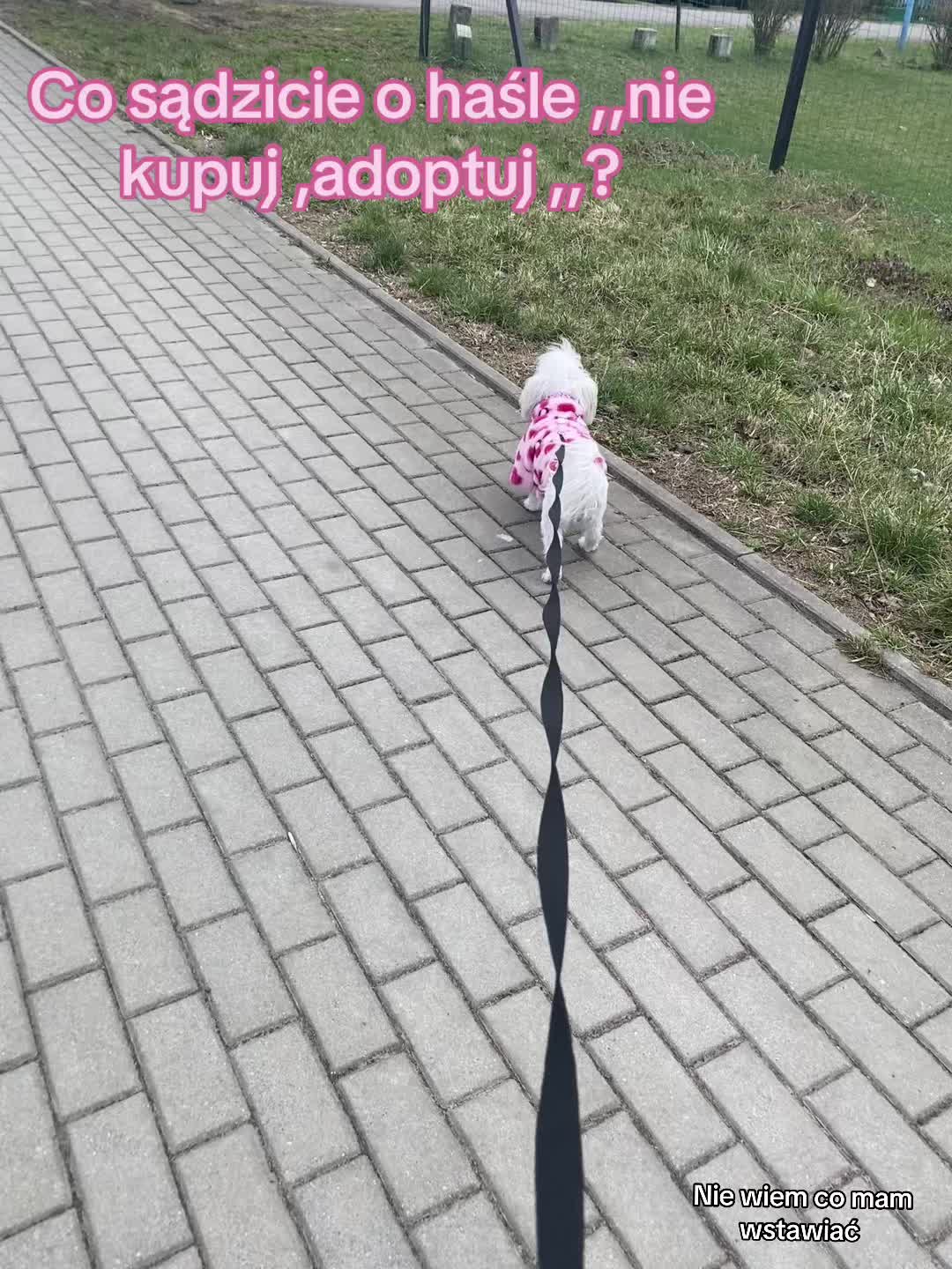 @โ๐ฉ๐๐๐๐๐&๐๐๐๐๐๐ชโ