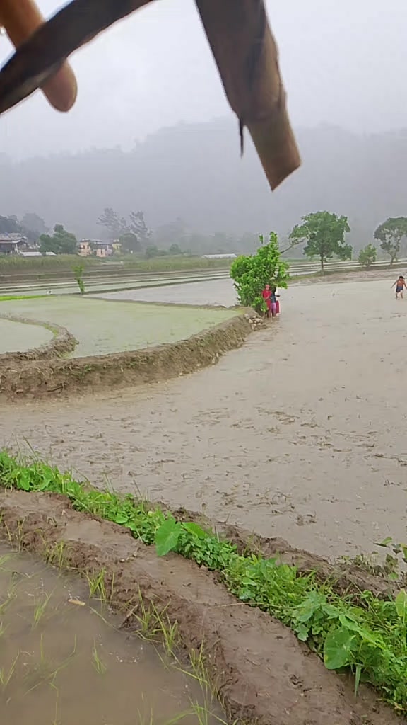 @दुर्गा थापा