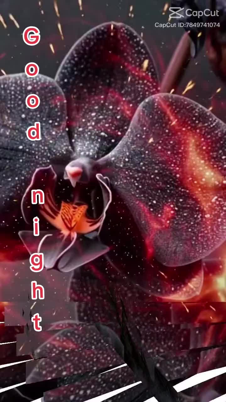 @𝜥𝒊𝒎𝒎𝒊𝜺𝟏𝟐𝟐𝟏