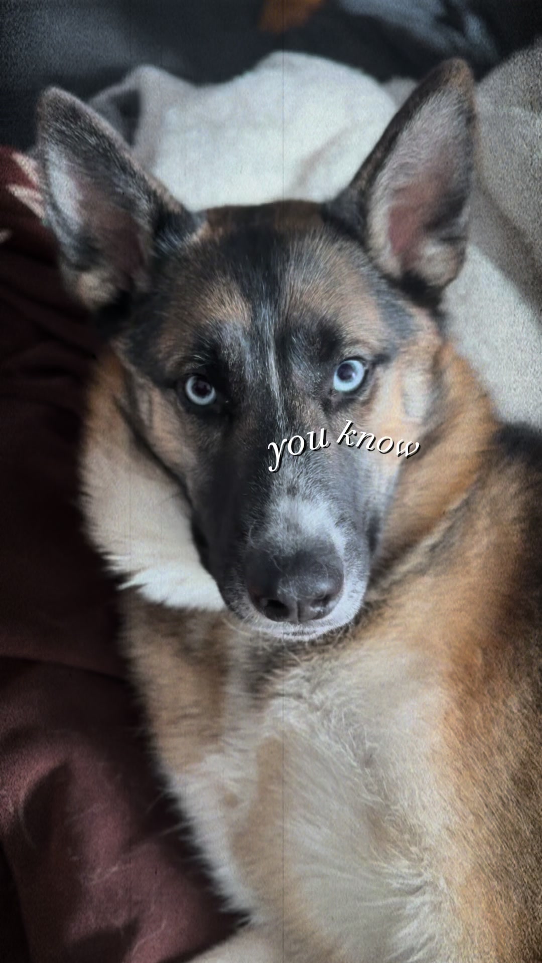 @Lilo and stitch