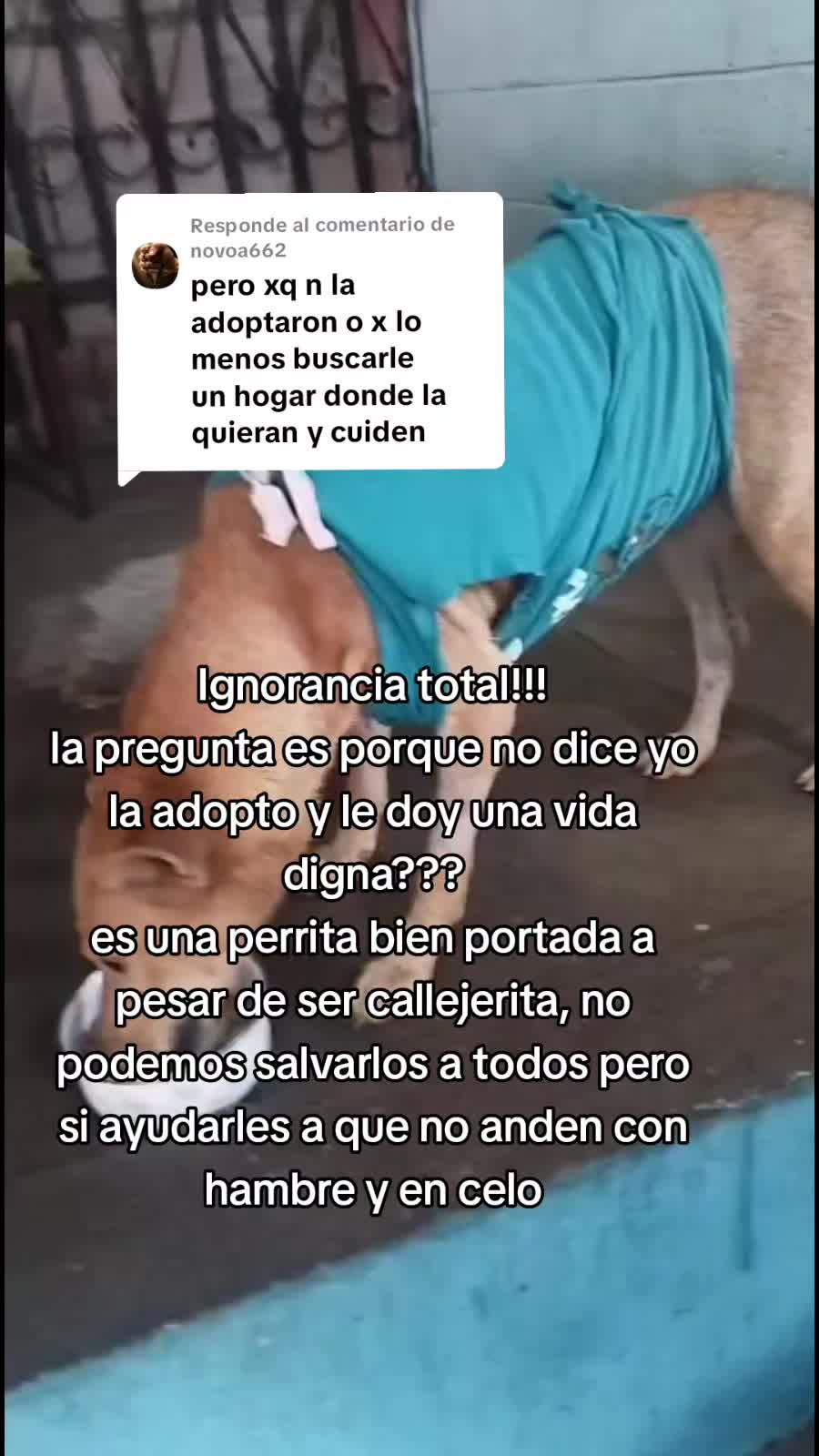 @𝕃𝕚𝕤𝕤 ℝ𝕖yes🇸🇻