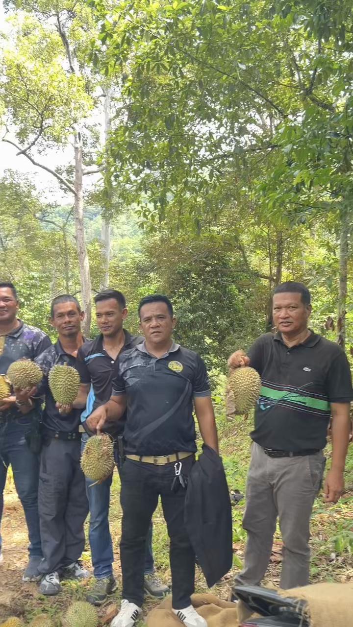 @Mustakim Tengma