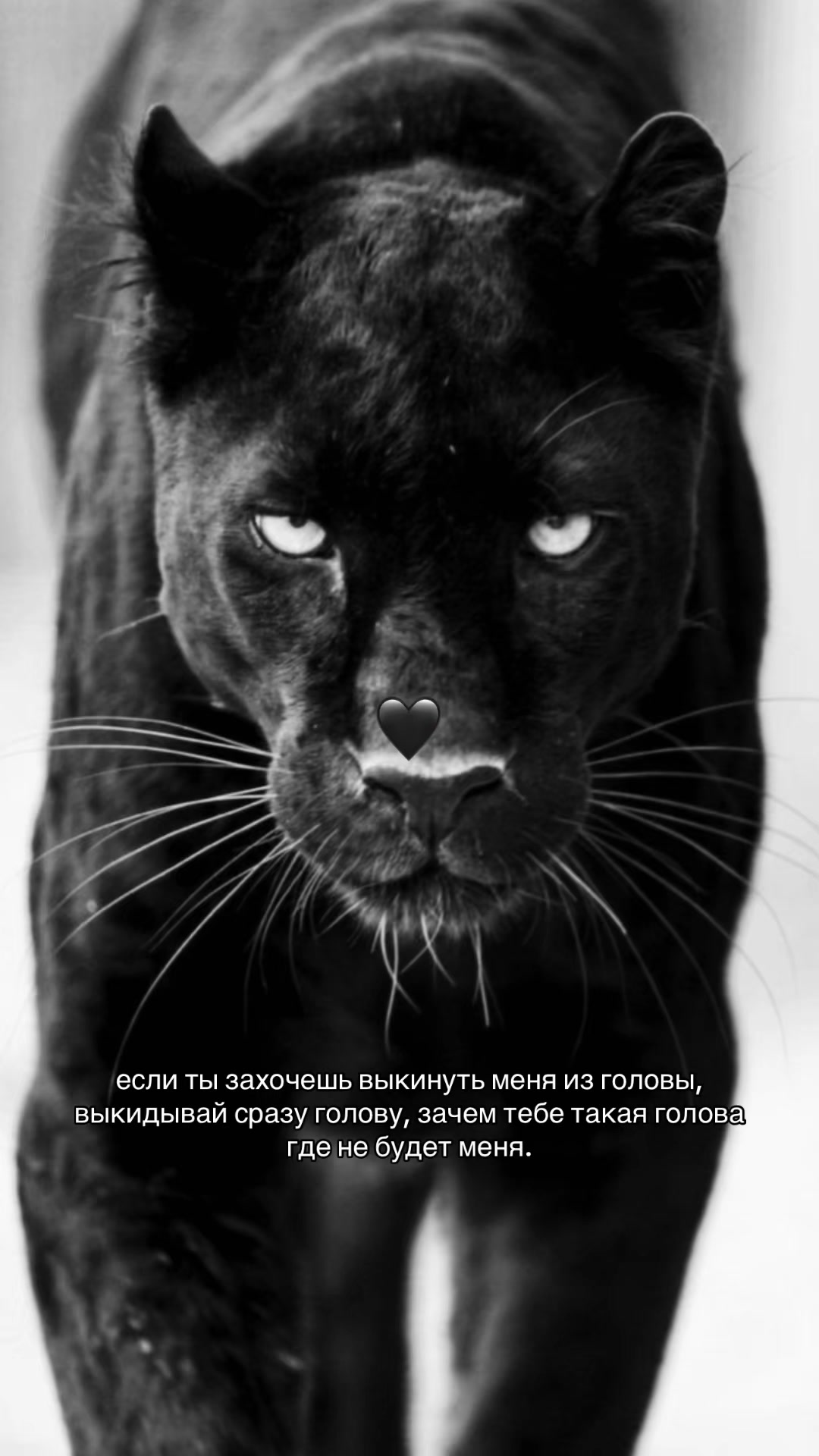 @Виктория🤍