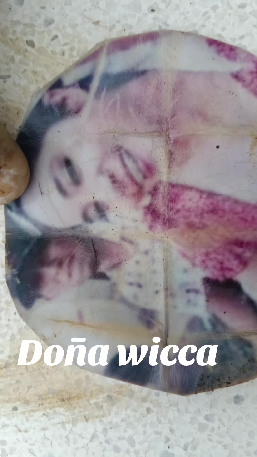 @Doña Wicca