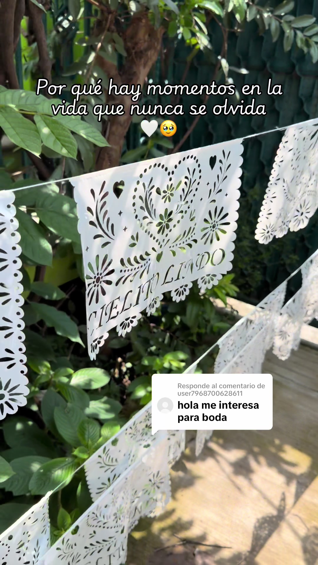 @YEYITOS
