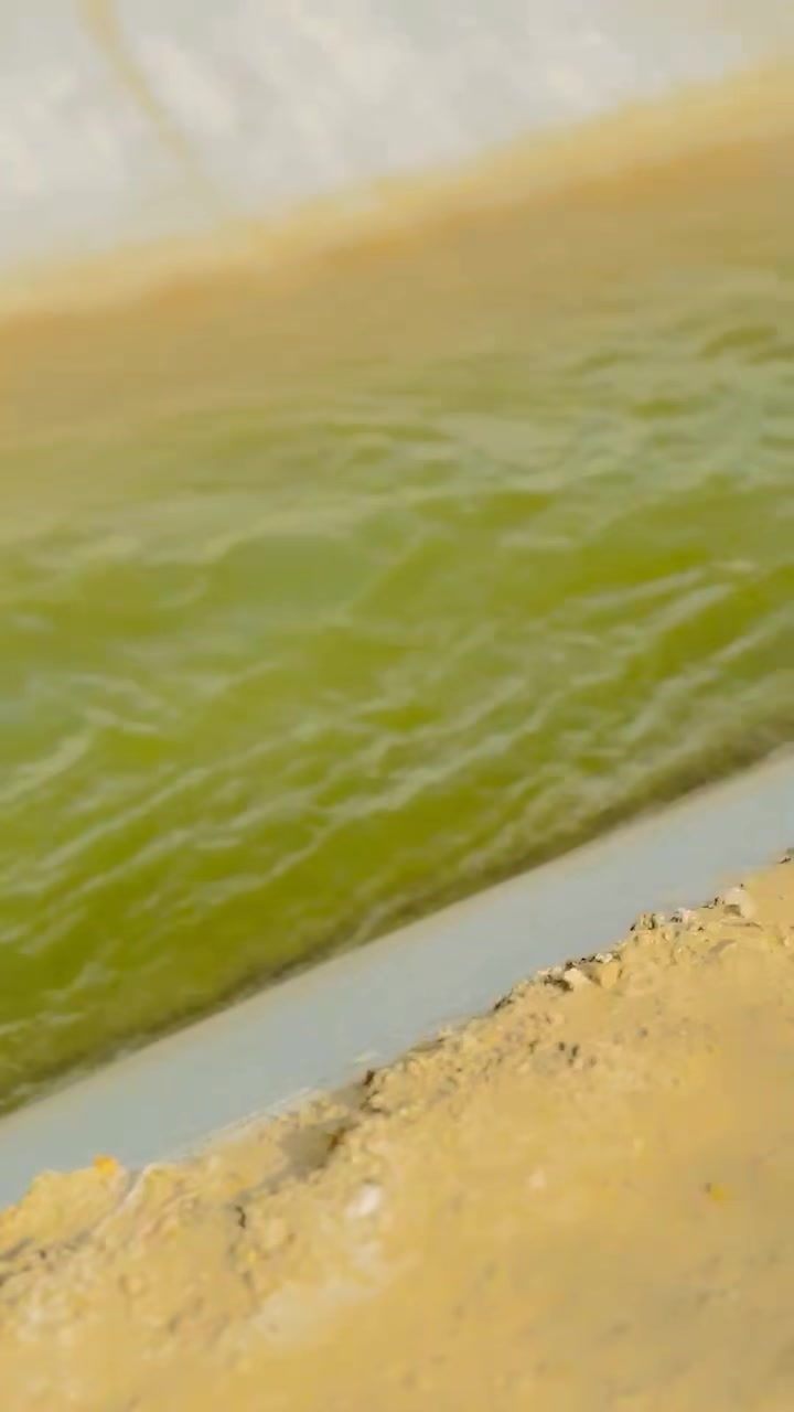 @𝐌𝐊🚩بنگش