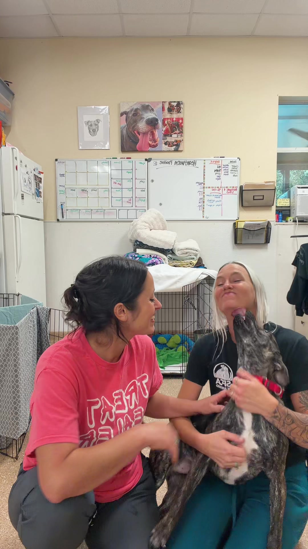 @2vettechs