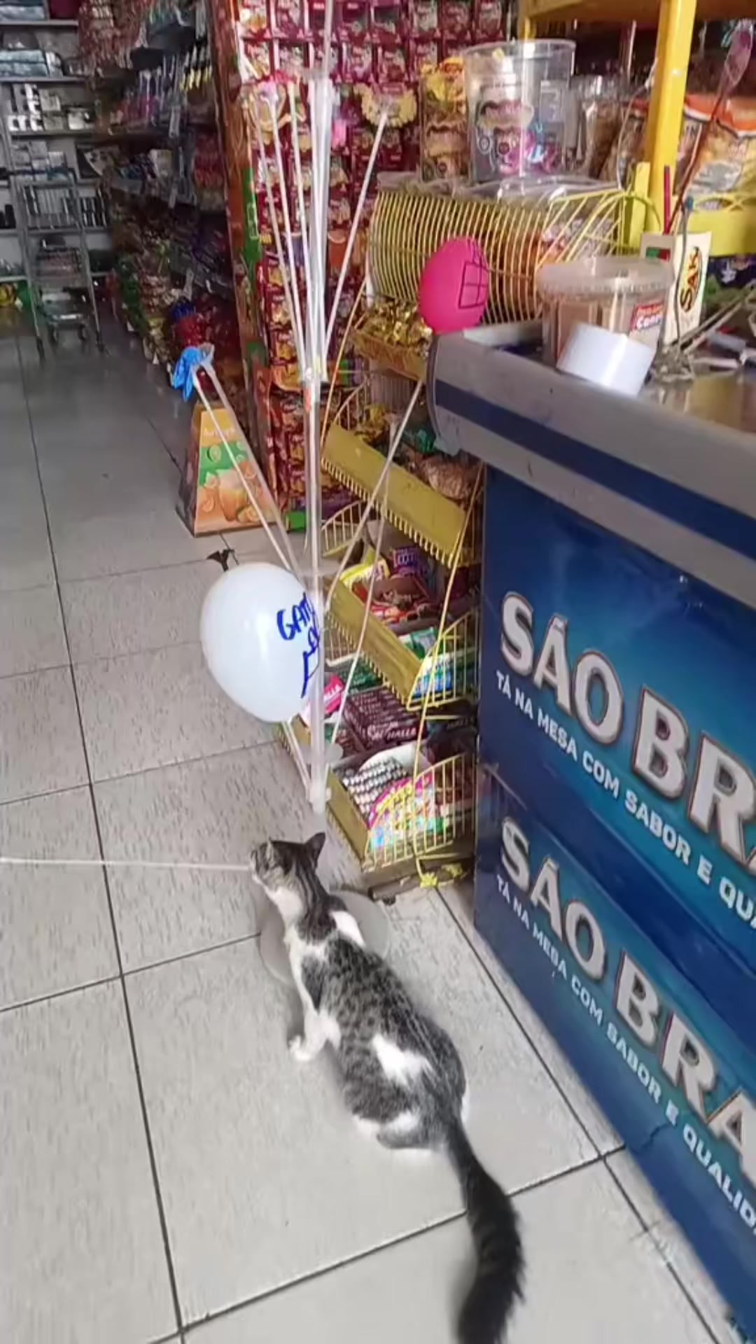 @Mercadinho Ideal