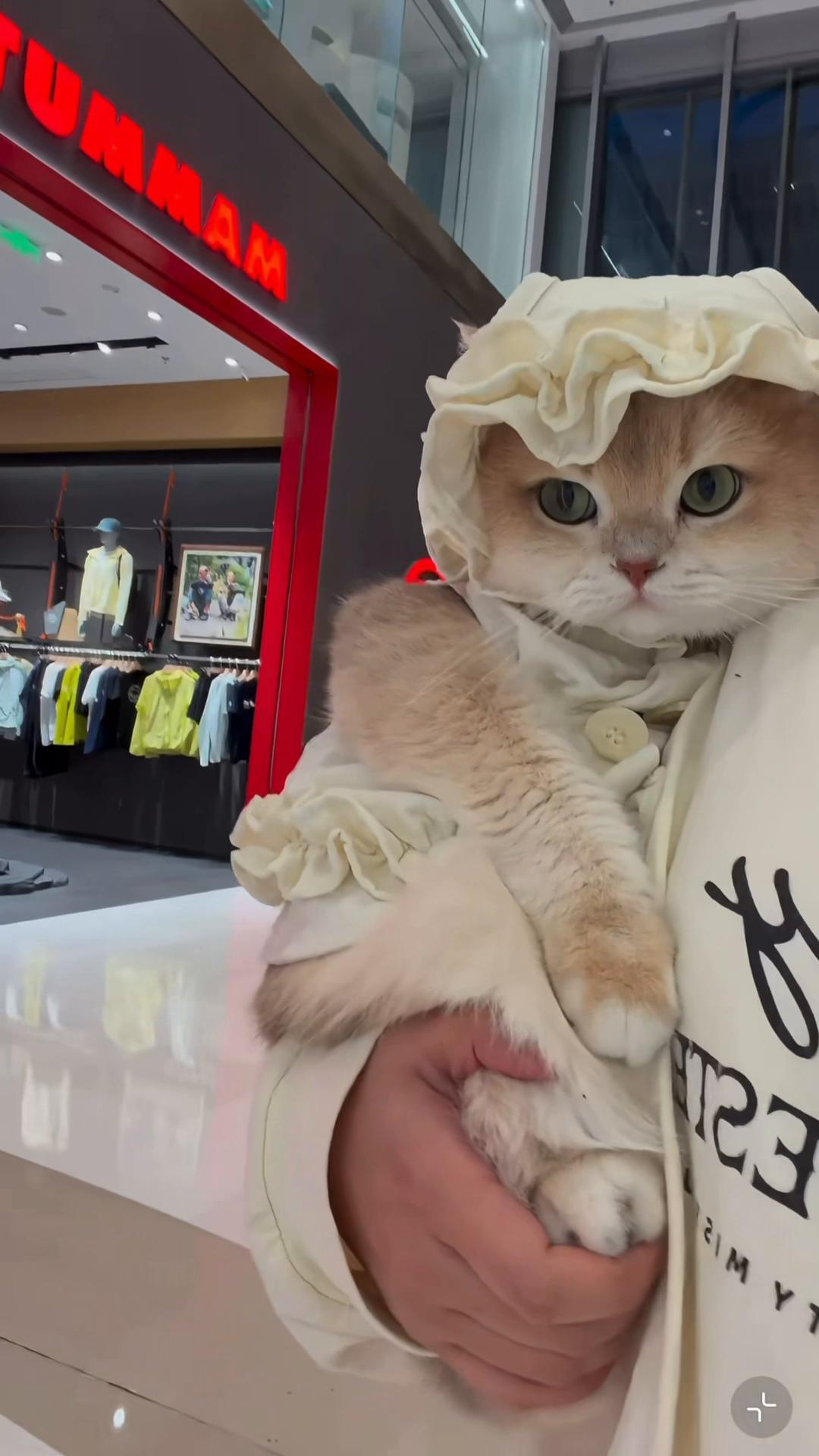 @My Daily Dose of Aww