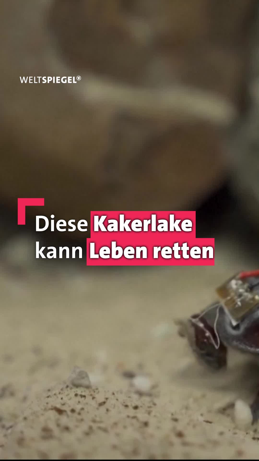 @weltspiegel