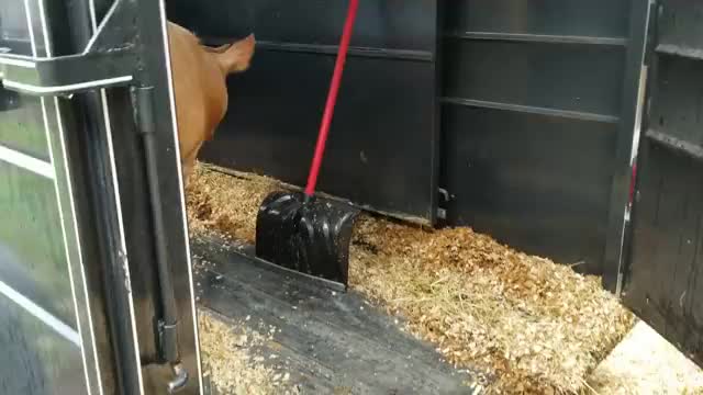 @M.I. CATTLE CO.
