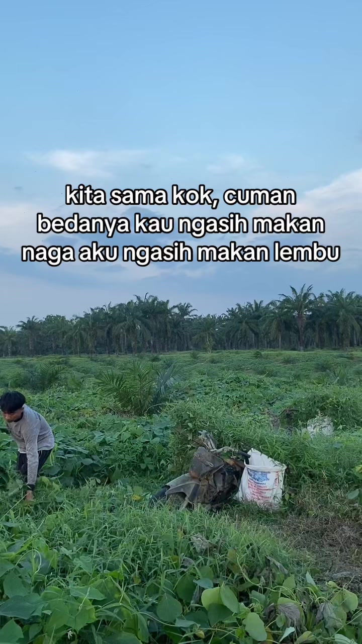 @ngaritboy