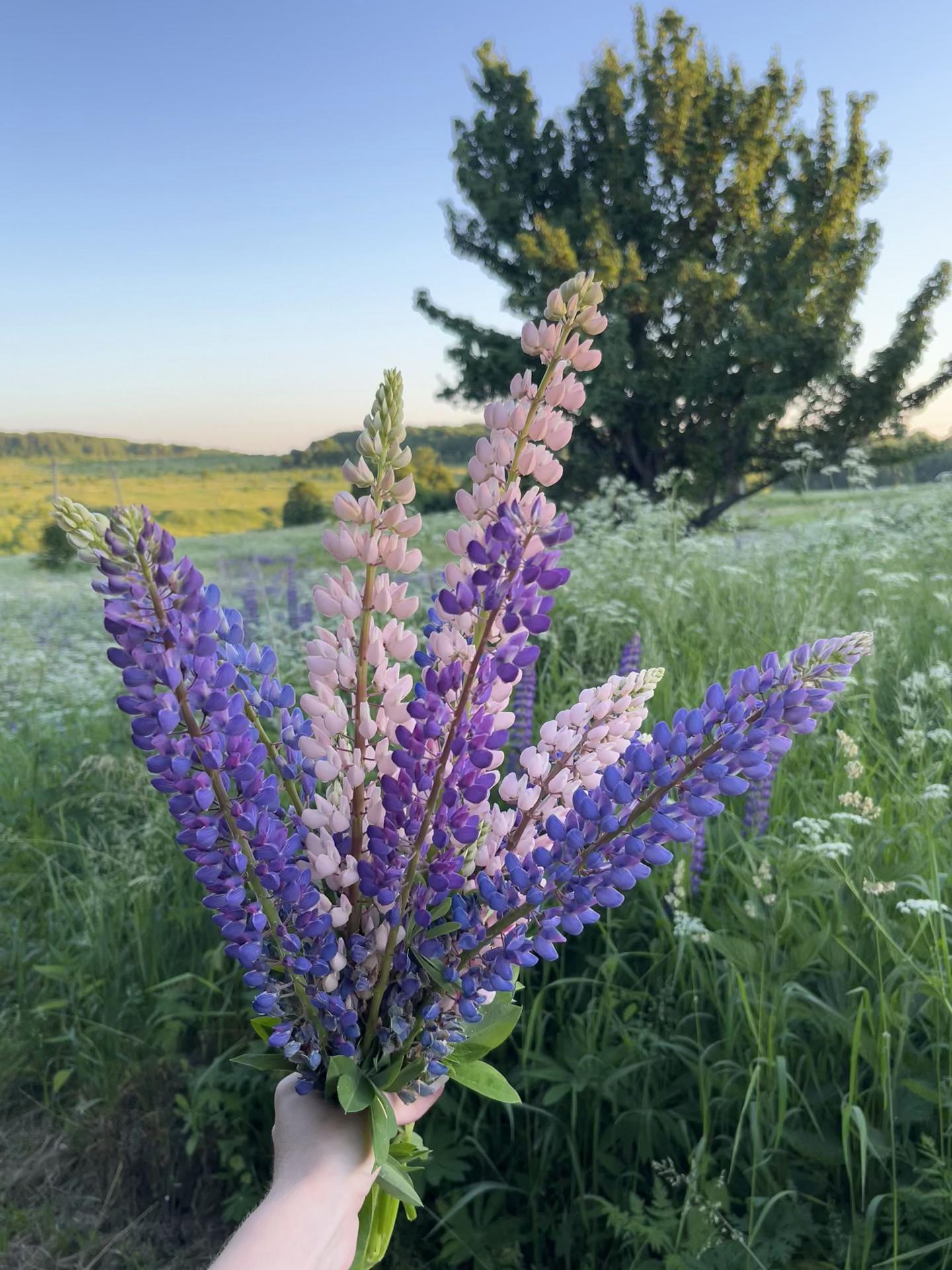 @влюбленные в природу