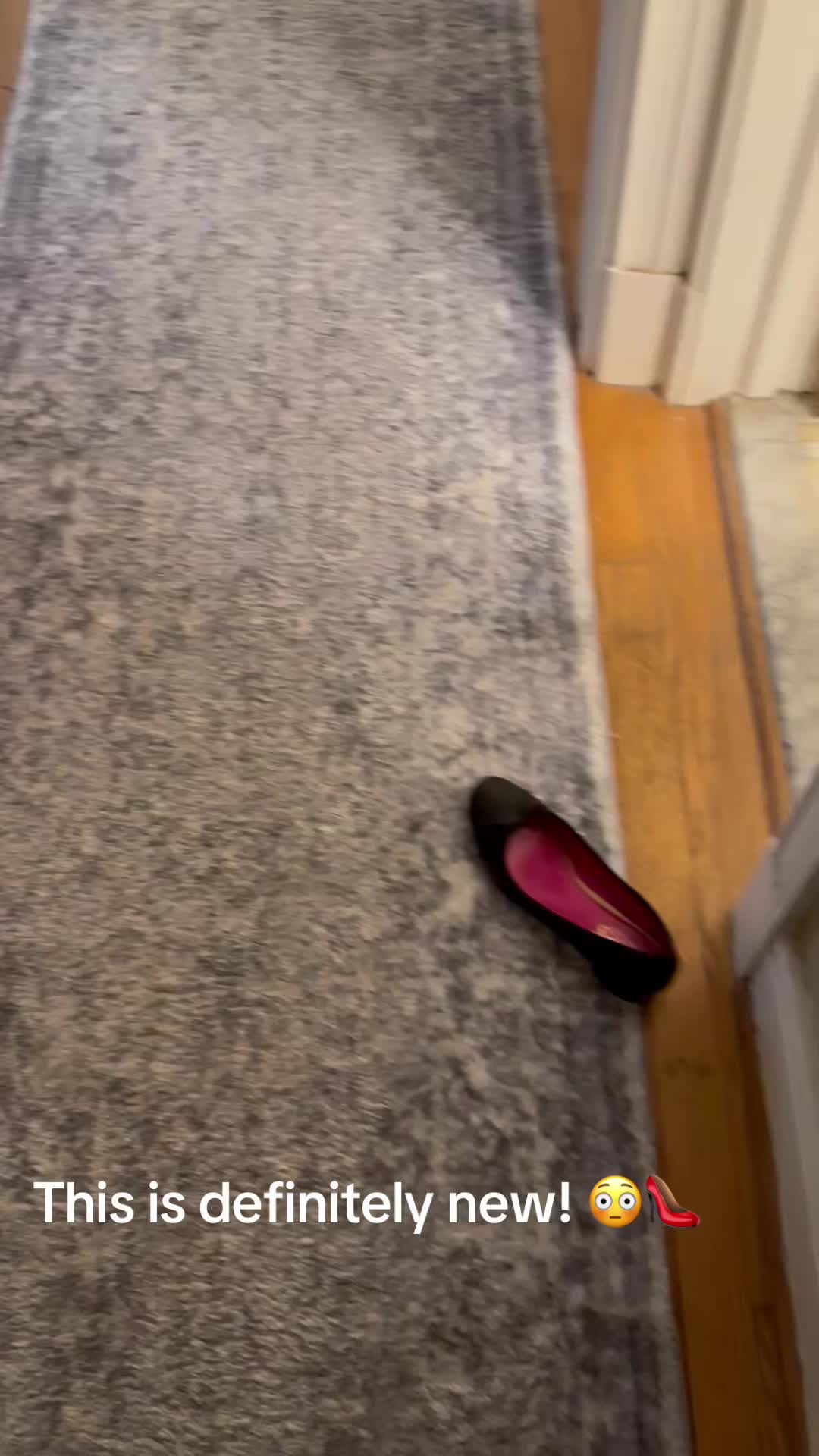 @lifewithduke2025