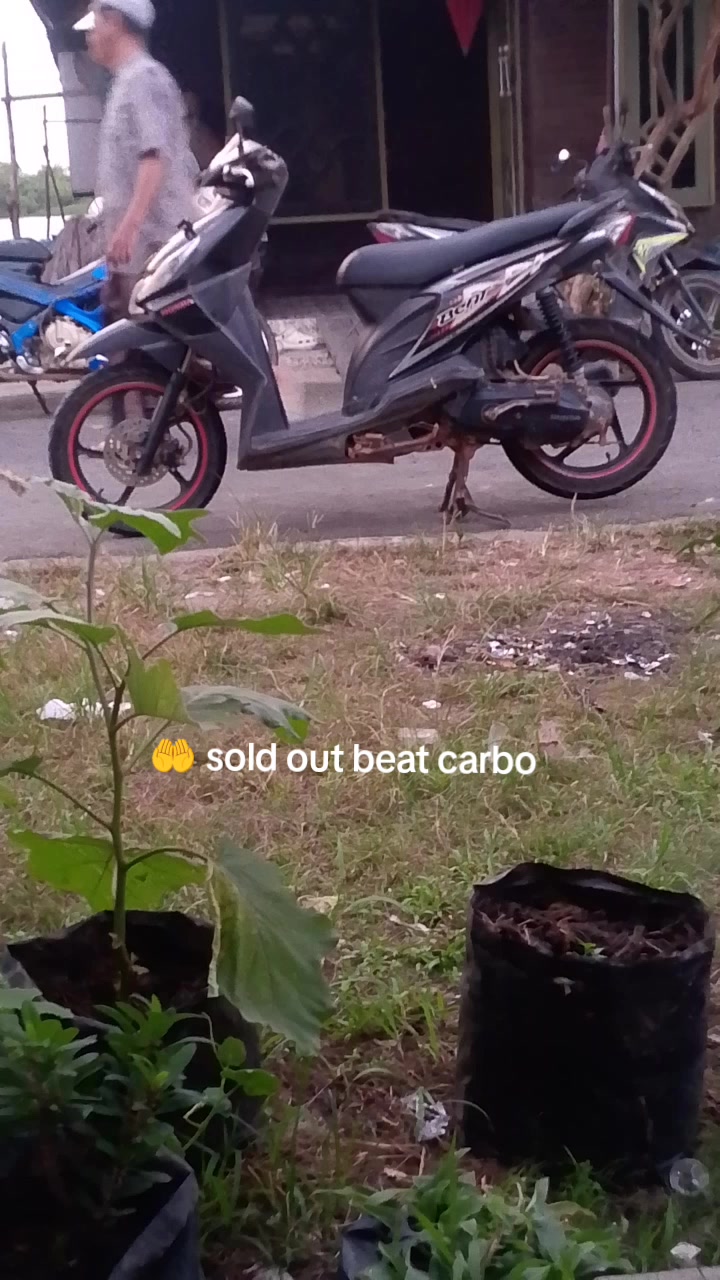 @Abang kaci