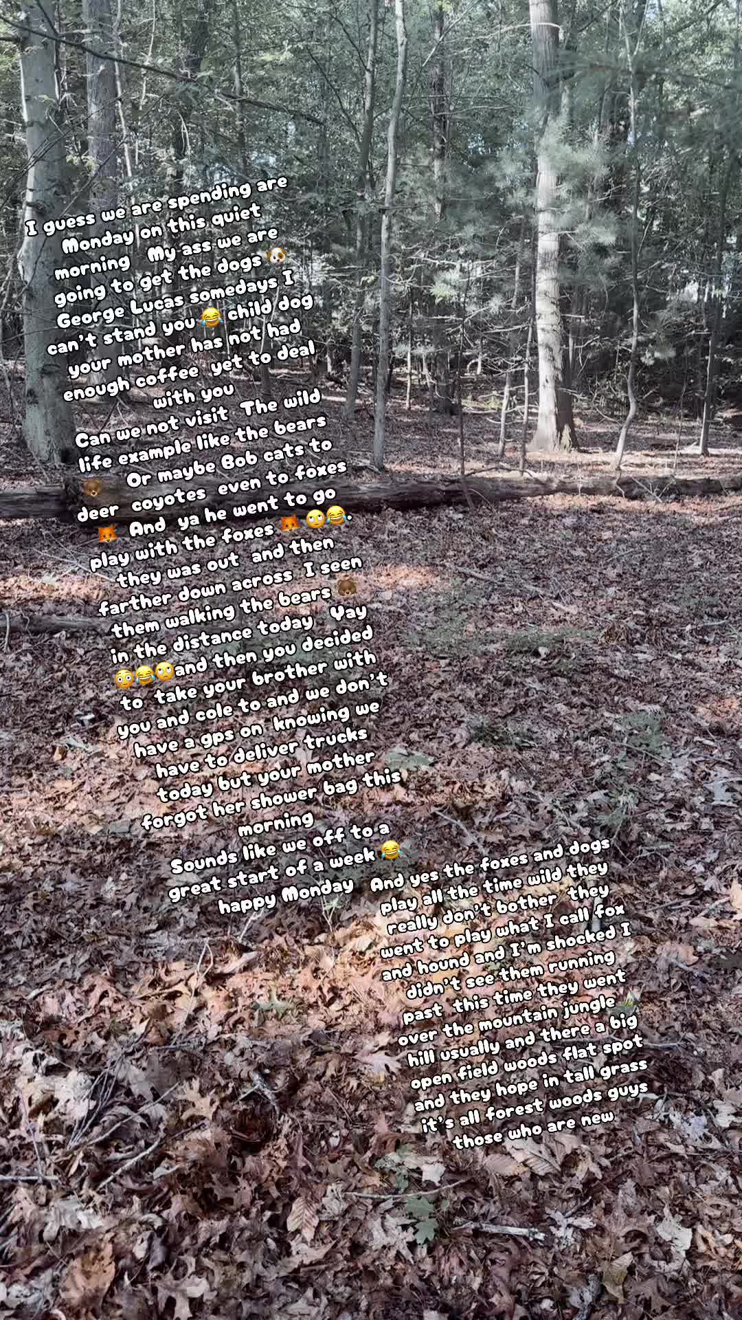 @Sugarbear8234