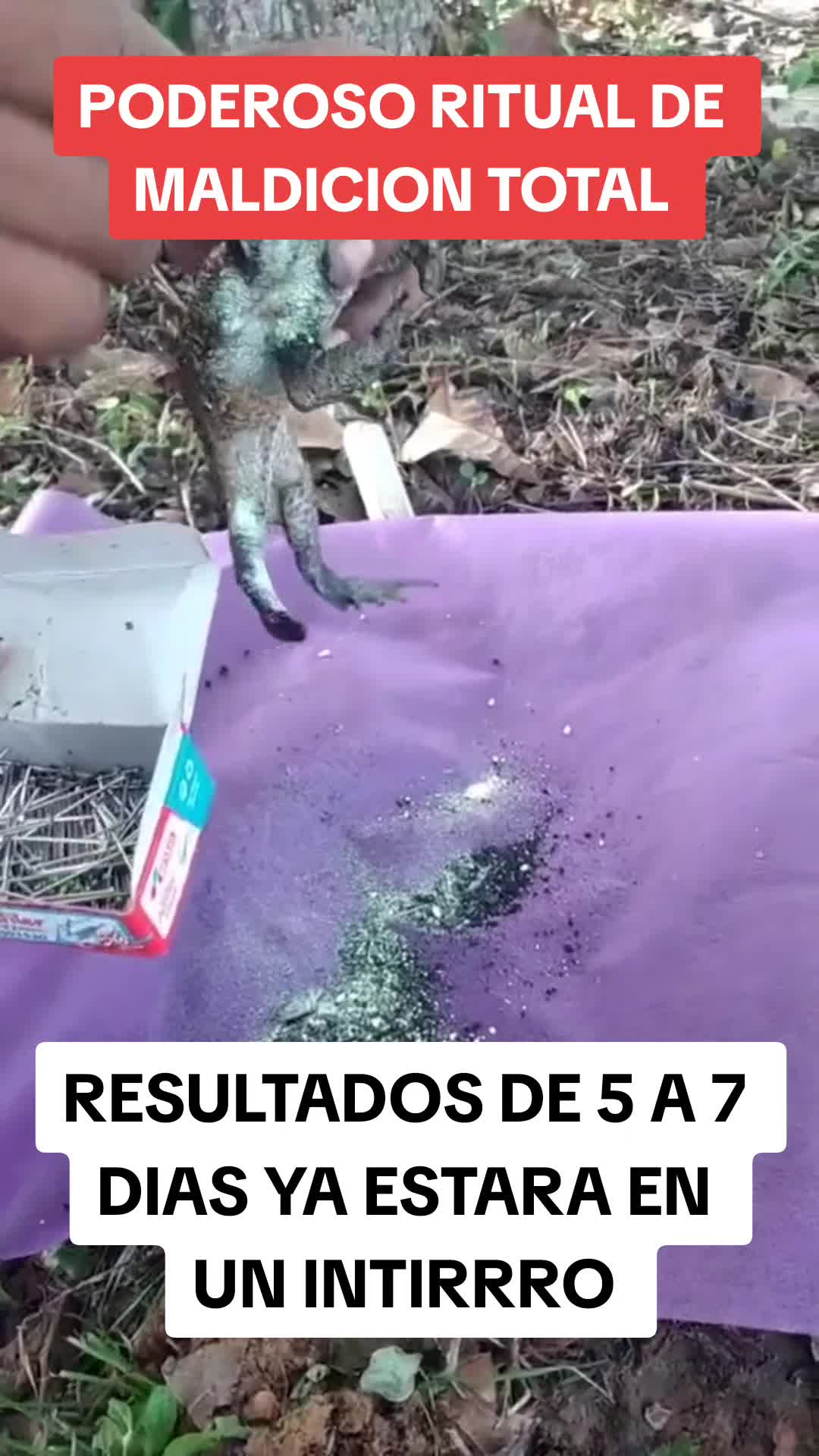 @Eva moreno