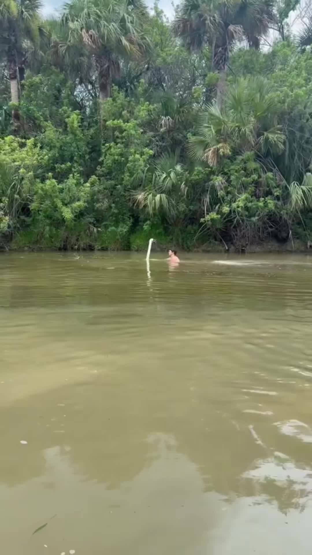 @fl_liam2