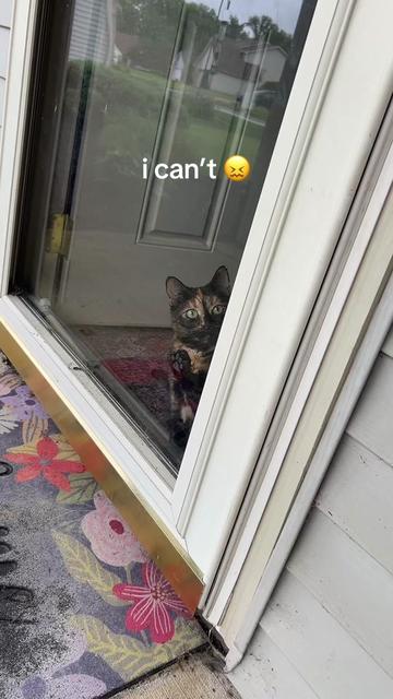 @Linnae
