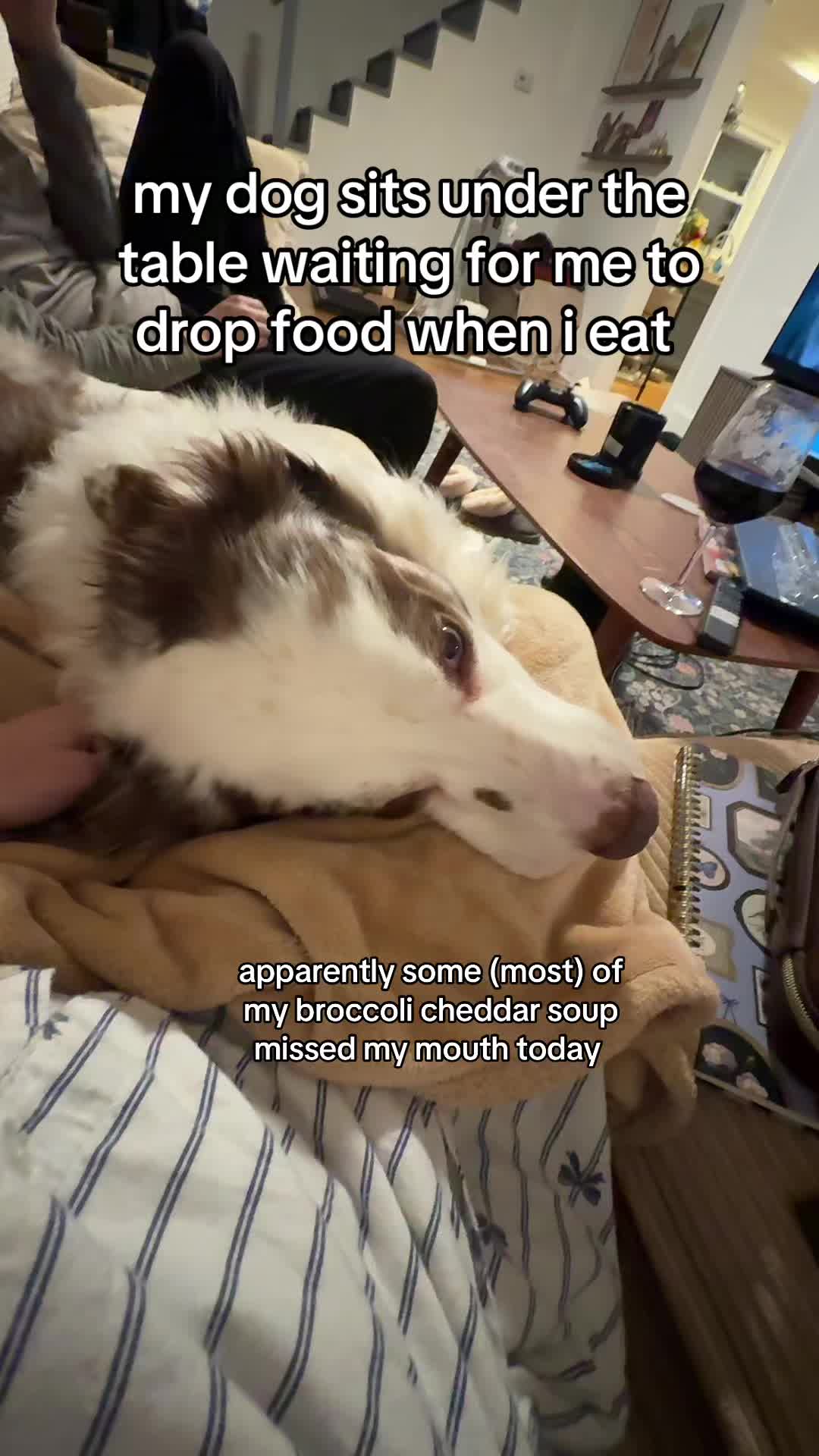 @maddiegudz