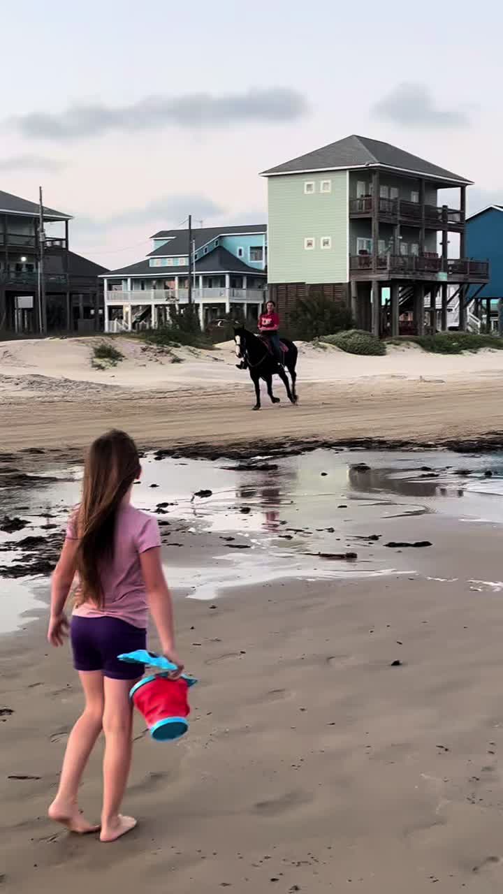 @haley&horses
