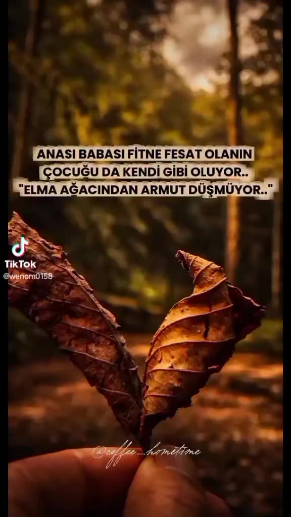 @🤘TUNAY sezgin🤘