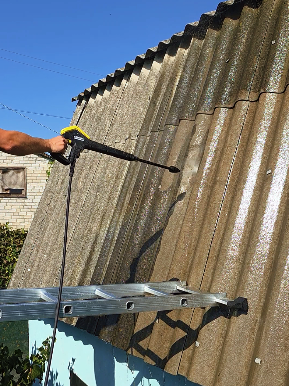 family_lapkin (@family_lapkin) - Urlebird