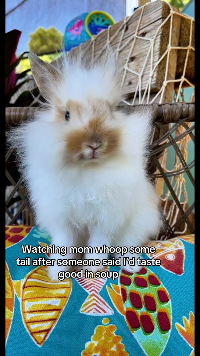 @snackqueenandsir